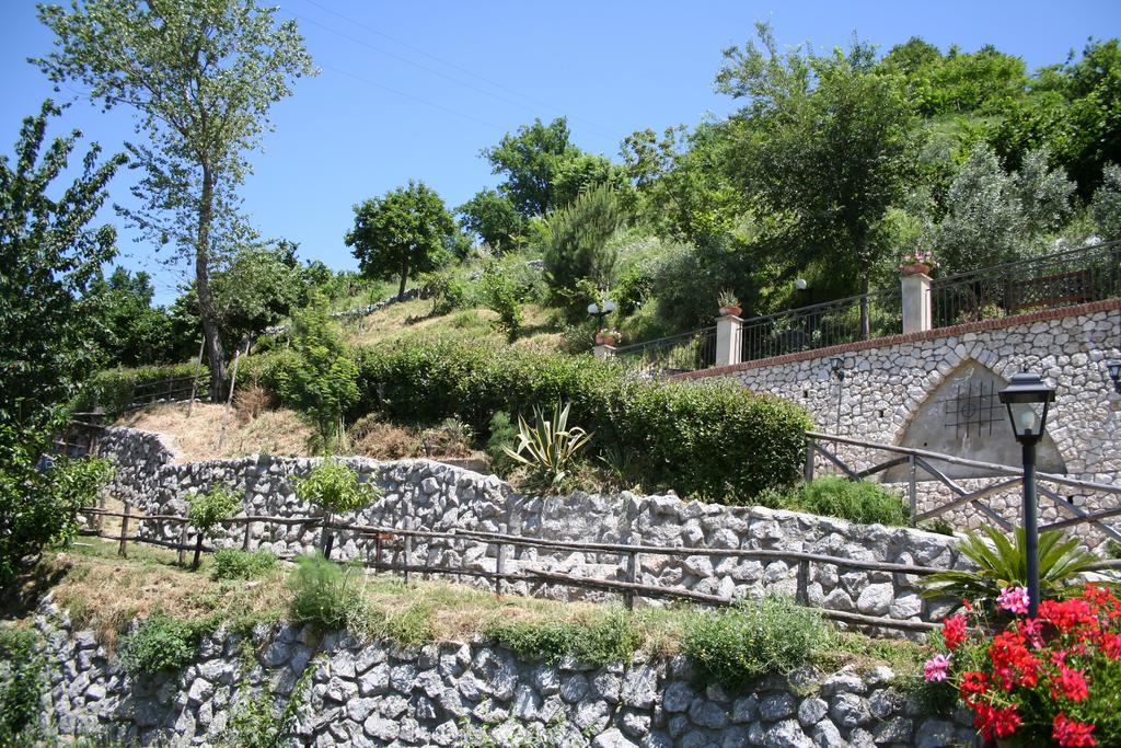 Agriturismo La Grotta Corbara  Exterior photo